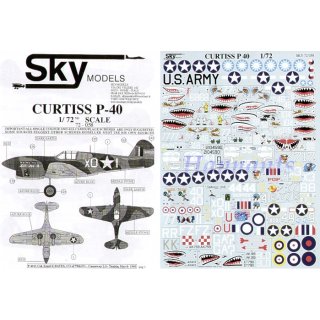 RE-RELEASED! CURTISS P-40