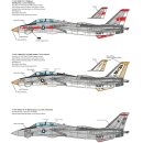 GRUMMAN F-14A TOMCATS. TH