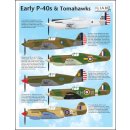 EARLY CURTISS P-40S & TOM