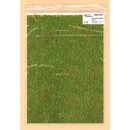 GRASSY SURFACE DIMENSIONS