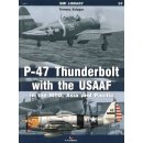 P-47 THUNDERBOLT WITH USA