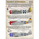 NEWREPUBLIC P-47 THUNDERB