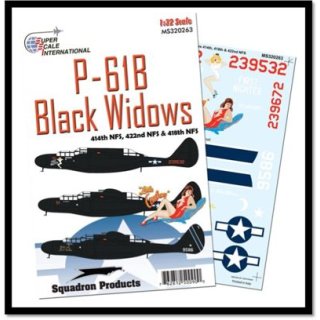 NORTHROP P-61B BLACK WIDO