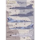 RE-PRINTED! DASSAULT MIRA