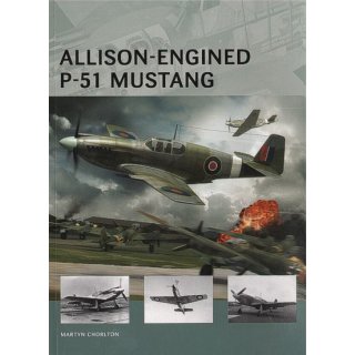 ALLISON-ENGINED P-51 MUST