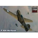 CURTISS P-40K WARHAWK X 2