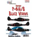 NORTHROP P-61 BLACK WIDOW