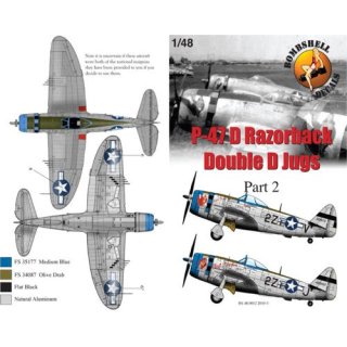 REPUBLIC P-47D THUNDERBOL