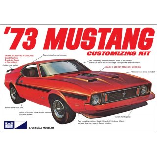 1/25 1973 Mustang MACH1 ord Custom