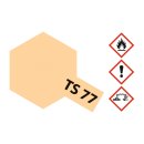 TS-77 FLEISCHFARBEN MATT