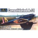 CONSOLIDATED A-11 AMERICA