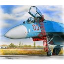 Ladder for Sukhoi Su-27 (designed to b…