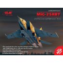 1:48 MiG-25 RBT,Soviet Reconnaissance Plane (100% new molds)