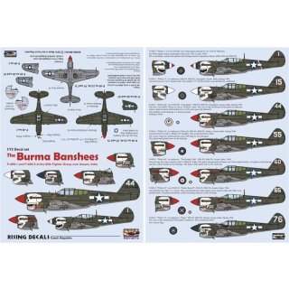 The Burma Banshees P-40N-1 and P-40N-5…