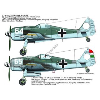 "Focke-Wulf Fw-190F-8 ( 64 ""Ági"", 65 ""P…"