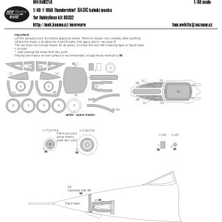 1:48 New Ware Republic F-105D Thunderchief BASIC Mask (for  Hobby Boss kits)