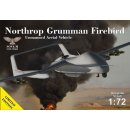 "N.G.Firebird UAV concept 4...