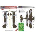 1/72 LF Models Henschel Hs 123A-1 Camouflage Painting...