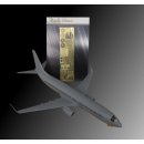 1/144 Metallic Details Boeing 737-800 (designed to be...