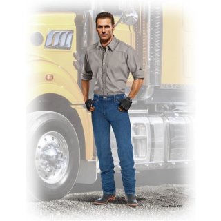 1:24 Stan (Long Haul)Thompson,Truckers series Kit No.2