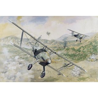1:48 Arado Ar 68E