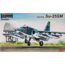 1/48 KPM Su-25 SM Premium edt