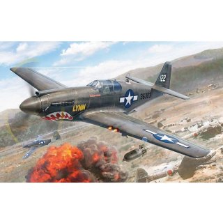 1:72 US P-51A Mustang
