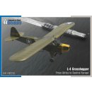 1:48 L-4 Grasshopper From Africa to Central Europe