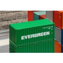 20 Container EVERGREEN