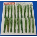 1:35 Tufts of reeds-green