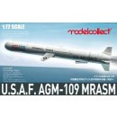 1:72 U.S. AGM-109 ACM missile Set 18 pics